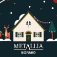 Bollini